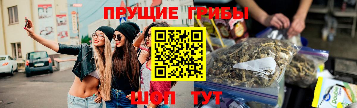 Галлюциногенные грибы Magic Shrooms Курчатов