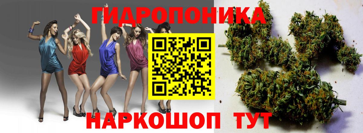 Каннабис SATIVA & INDICA Курчатов